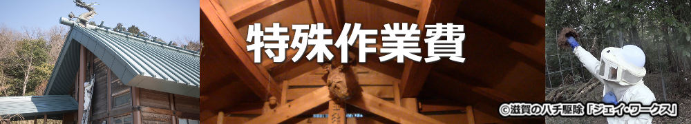 竜王町のハチ駆除特殊作業費